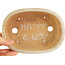 Oval white bonsai pot by Hattori - 161 x 117 x 43 mm