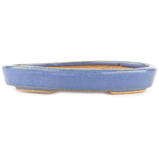  Hattori Tomoyuki 165 mm oval blue bonsai pot by Hattori, Tokoname, Japan