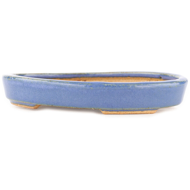 Pot à bonsaï ovale bleu par Hattori - 165 x 127 x 25 mm