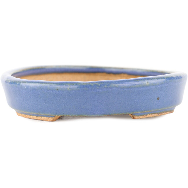 Pot à bonsaï ovale bleu par Hattori - 165 x 127 x 25 mm