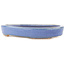 Oval blue bonsai pot by Hattori - 165 x 127 x 25 mm
