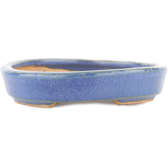 Ovaler blauer Bonsai-Topf von Hattori - 165 x 127 x 25 mm