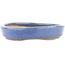 Oval blue bonsai pot by Hattori - 165 x 127 x 25 mm