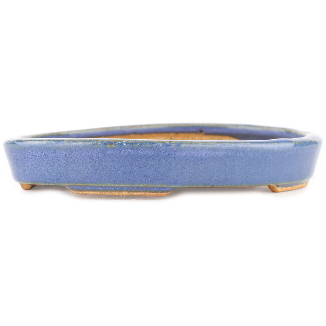 Ovaler blauer Bonsai-Topf von Hattori - 165 x 127 x 25 mm
