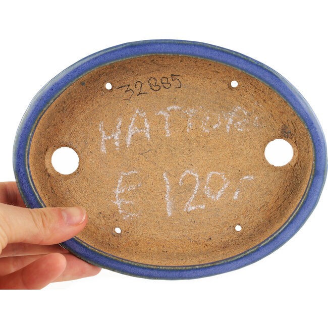 Vaso bonsai ovale blu di Hattori - 165 x 127 x 25 mm