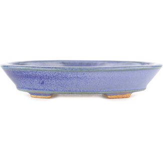  Hattori Tomoyuki 166 mm oval blue bonsai pot by Hattori, Tokoname, Japan