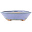 Oval blue bonsai pot by Hattori - 166 x 127 x 33 mm