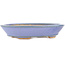 Oval blue bonsai pot by Hattori - 166 x 127 x 33 mm