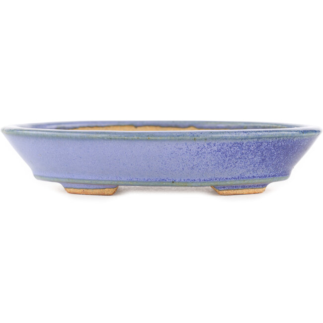 Pot à bonsaï ovale bleu par Hattori - 166 x 127 x 33 mm