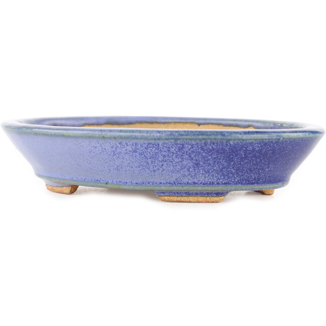 Pot à bonsaï ovale bleu par Hattori - 166 x 127 x 33 mm