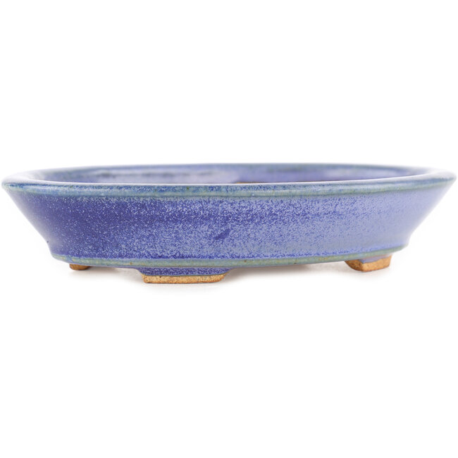 Vaso bonsai ovale blu di Hattori - 166 x 127 x 33 mm