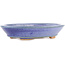 Oval blue bonsai pot by Hattori - 166 x 127 x 33 mm