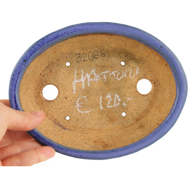 Oval blue bonsai pot by Hattori - 166 x 127 x 33 mm