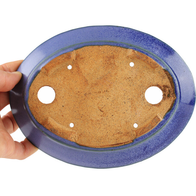 Oval blue bonsai pot by Hattori - 166 x 127 x 33 mm