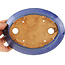 Oval blue bonsai pot by Hattori - 166 x 127 x 33 mm