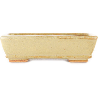  Hattori Tomoyuki 135 mm rectangular off-white bonsai pot by Hattori, Tokoname, Japan