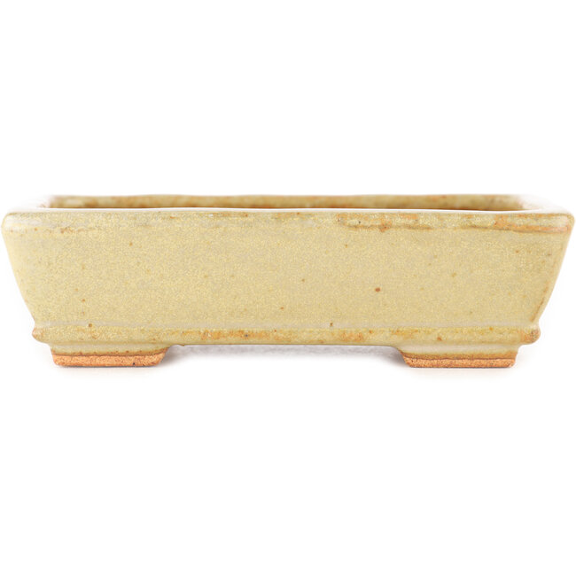 Pot à bonsaï rectangulaire blanc cassé par Hattori - 135 x 93 x 37 mm