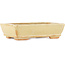 Pot à bonsaï rectangulaire blanc cassé par Hattori - 135 x 93 x 37 mm