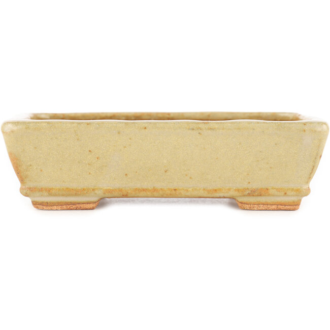 Rectangular off-white bonsai pot by Hattori - 135 x 93 x 37 mm