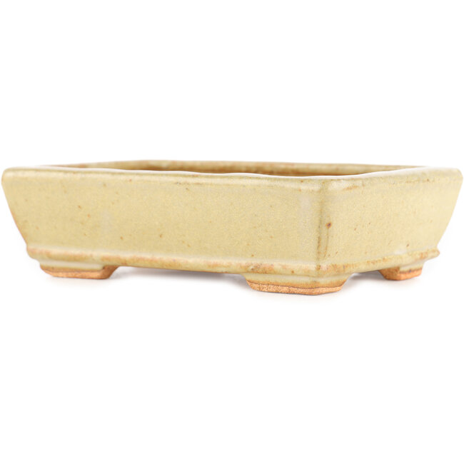 Rectangular off-white bonsai pot by Hattori - 135 x 93 x 37 mm