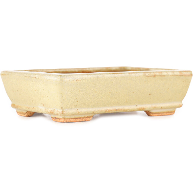 Vaso bonsai rettangolare bianco sporco di Hattori - 135 x 93 x 37 mm