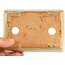 Rectangular off-white bonsai pot by Hattori - 135 x 93 x 37 mm