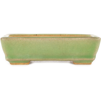  Hattori Tomoyuki 130 mm rectangular green craquelé bonsai pot by Hattori, Tokoname, Japan