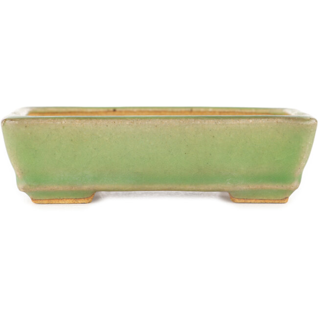 Rectangular green craquelé bonsai pot by Hattori - 130 x 90 x 36 mm