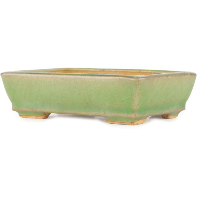 Rectangular green craquelé bonsai pot by Hattori - 130 x 90 x 36 mm