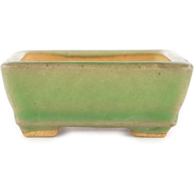 Rectangular green craquelé bonsai pot by Hattori - 130 x 90 x 36 mm