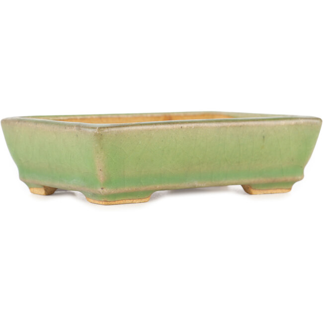 Vaso bonsai rettangolare verde craquelé di Hattori - 130 x 90 x 36 mm