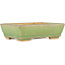 Rectangular green craquelé bonsai pot by Hattori - 130 x 90 x 36 mm