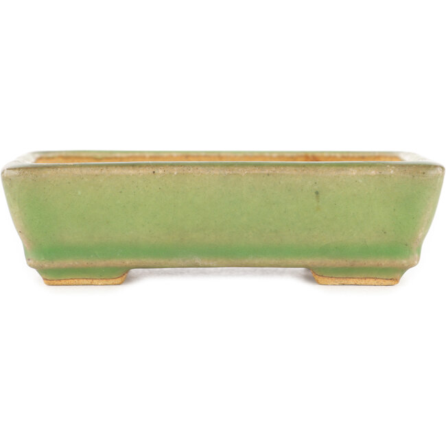 Rectangular green craquelé bonsai pot by Hattori - 130 x 90 x 36 mm