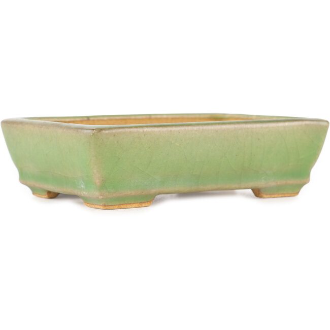 Vaso bonsai rettangolare verde craquelé di Hattori - 130 x 90 x 36 mm