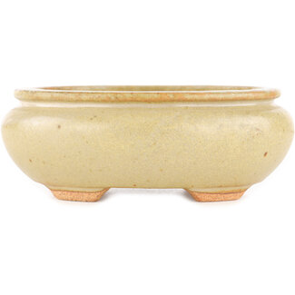  Hattori Tomoyuki Vaso bonsai ovale bianco sporco da 116 mm di Hattori, Tokoname, Giappone