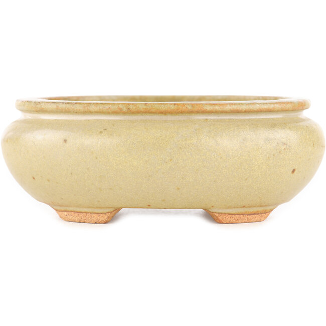 Pot à bonsaï ovale blanc cassé par Hattori - 116 x 101 x 47 mm