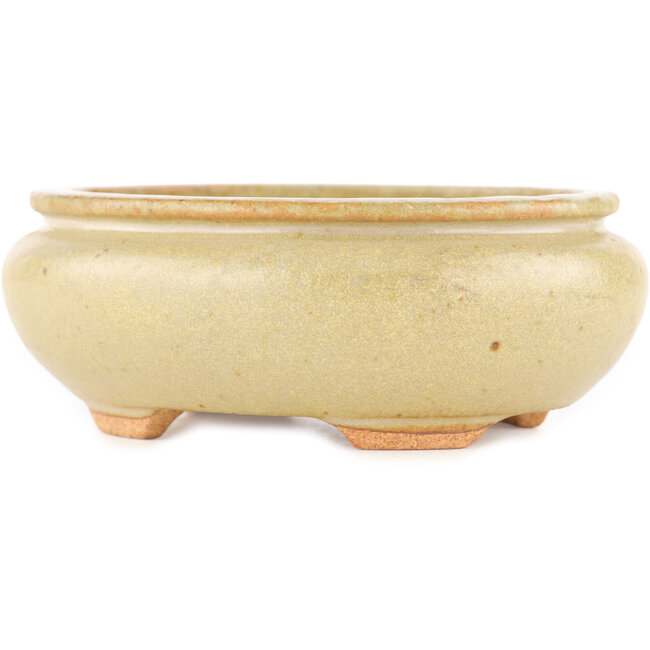 Pot à bonsaï ovale blanc cassé par Hattori - 116 x 101 x 47 mm