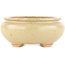 Ovaler cremefarbener Bonsai-Topf von Hattori - 116 x 101 x 47 mm