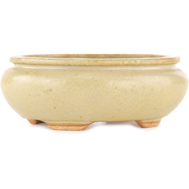 Ovaler cremefarbener Bonsai-Topf von Hattori - 116 x 101 x 47 mm