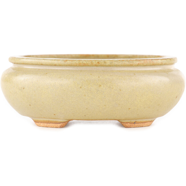 Pot à bonsaï ovale blanc cassé par Hattori - 116 x 101 x 47 mm