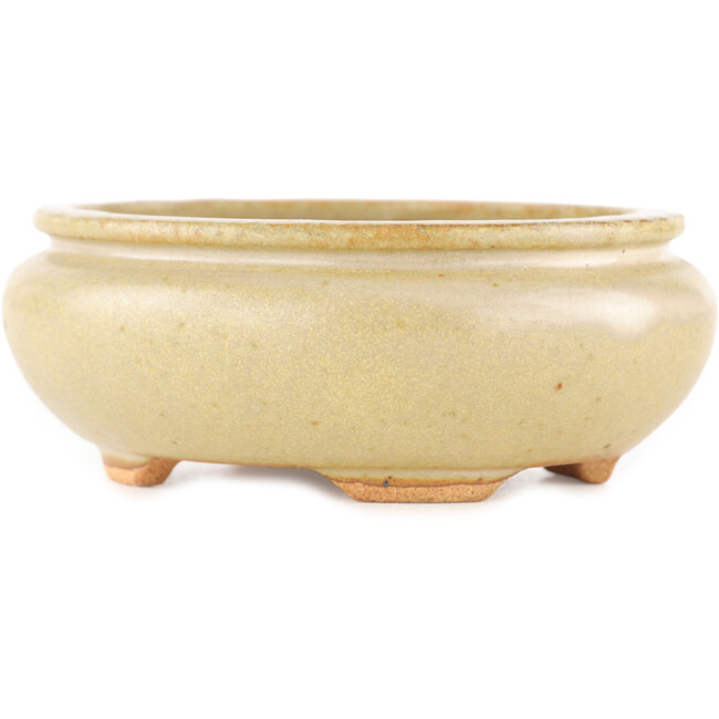 Ovale gebroken witte bonsaipot van Hattori - 116 x 101 x 47 mm