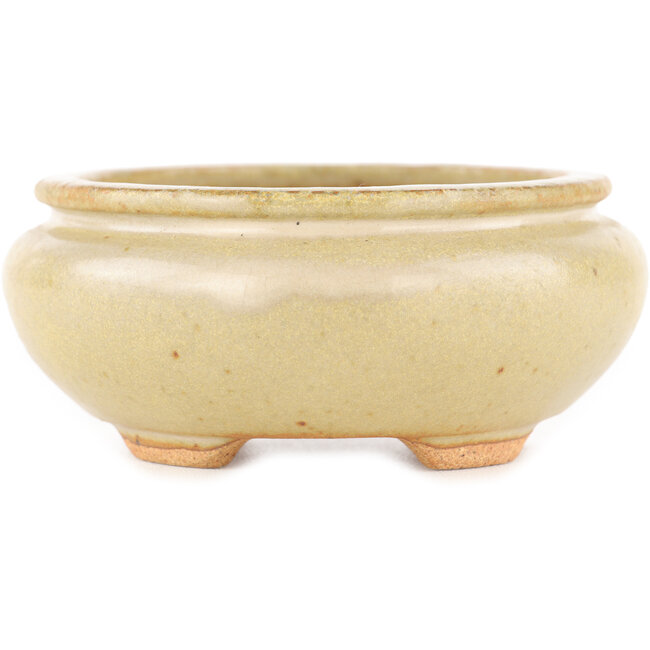 Maceta ovalada para bonsái blanco roto de Hattori - 116 x 101 x 47 mm