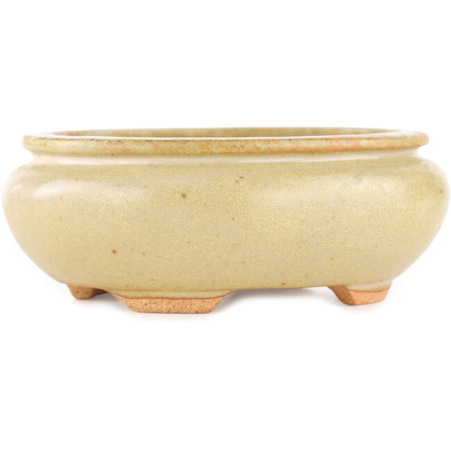 Ovaler cremefarbener Bonsai-Topf von Hattori - 116 x 101 x 47 mm