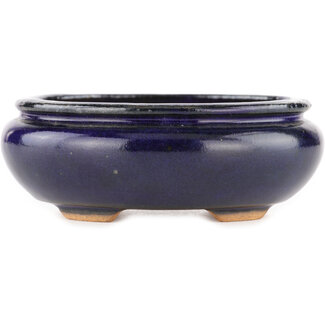  Hattori Tomoyuki 120 mm oval blue bonsai pot by Hattori, Tokoname, Japan