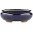 Ovale blauwe bonsaipot van Hattori - 120 x 102 x 45 mm