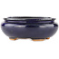 Ovaler blauer Bonsai-Topf von Hattori - 120 x 102 x 45 mm