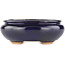 Pot à bonsaï ovale bleu par Hattori - 120 x 102 x 45 mm
