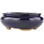 Pot à bonsaï ovale bleu par Hattori - 120 x 102 x 45 mm