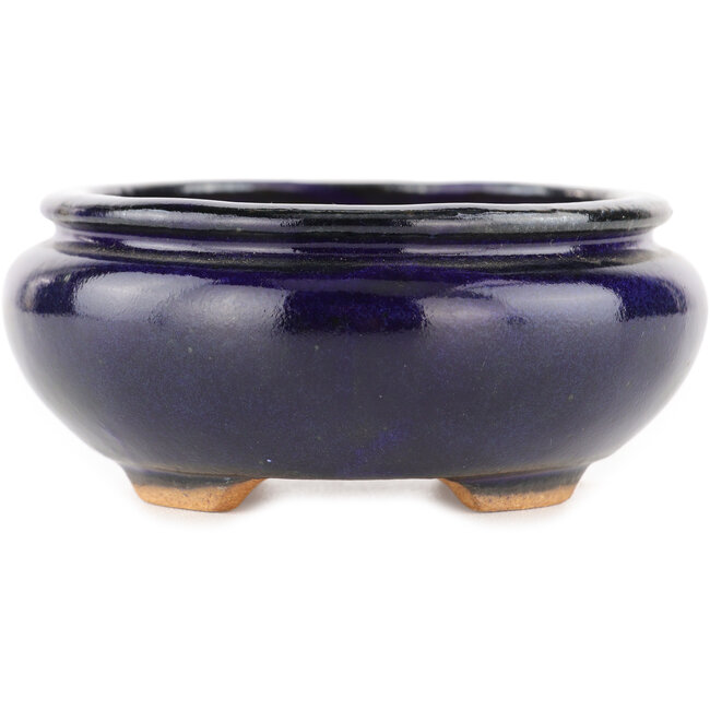 Maceta ovalada para bonsái azul de Hattori - 120 x 102 x 45 mm