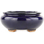 Oval blue bonsai pot by Hattori - 120 x 102 x 45 mm